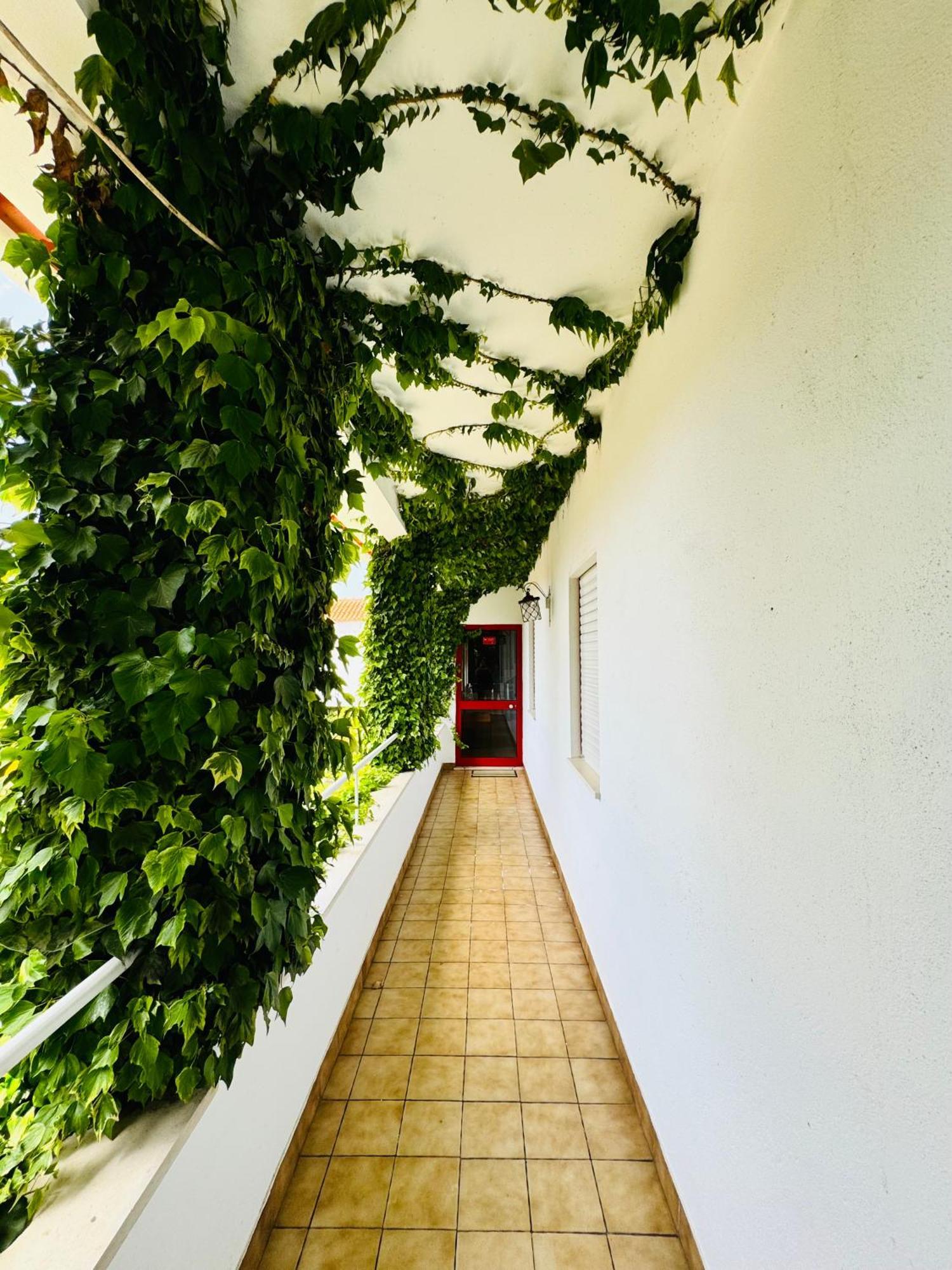 Nature & Beach Guest Rooms, Aldeamento Turistico Do Camarido Cristelo  Exteriör bild